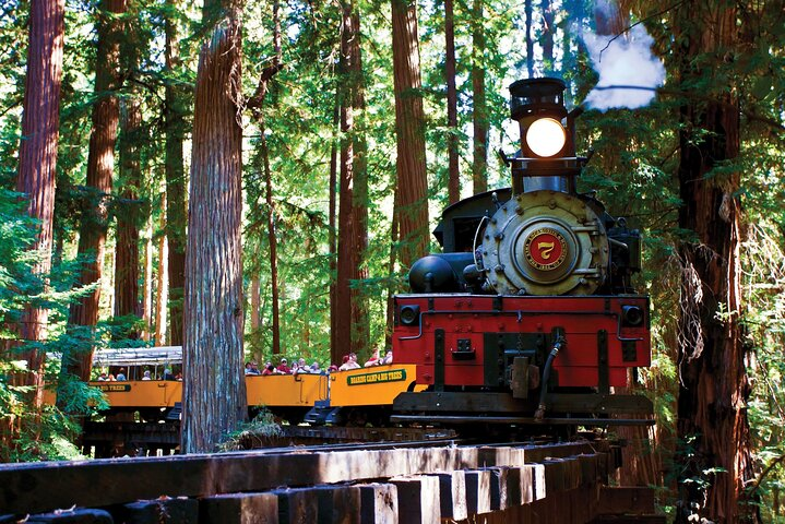 Experience the charm of the Redwood Forest as you ride the steam train surrounded by towering trees. This scenic adventure offers unforgettable moments at Santa Cruz Harbor and beyond.